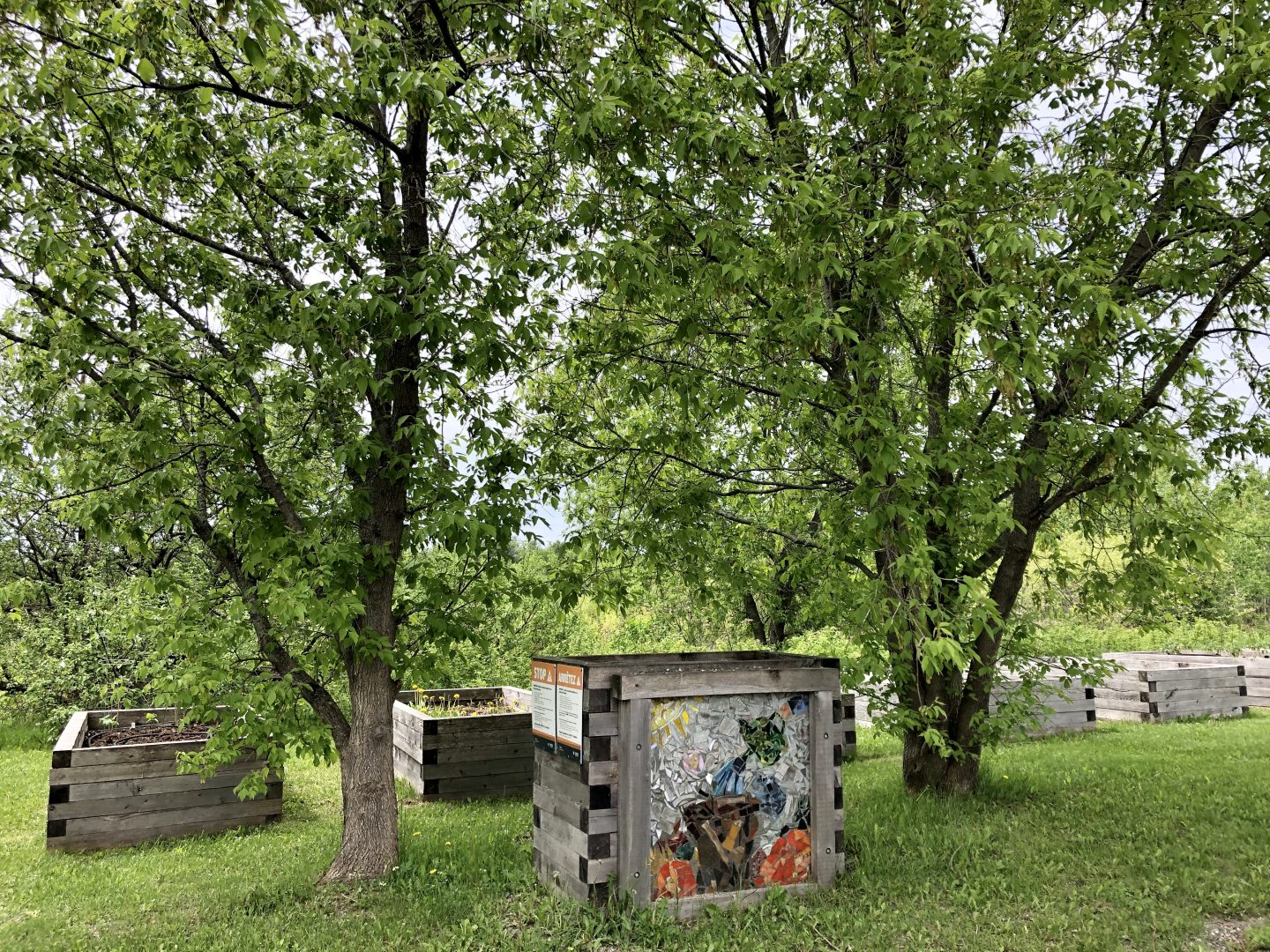 Picture of the Community Gardens in Alban behind la Caisse Alliance.